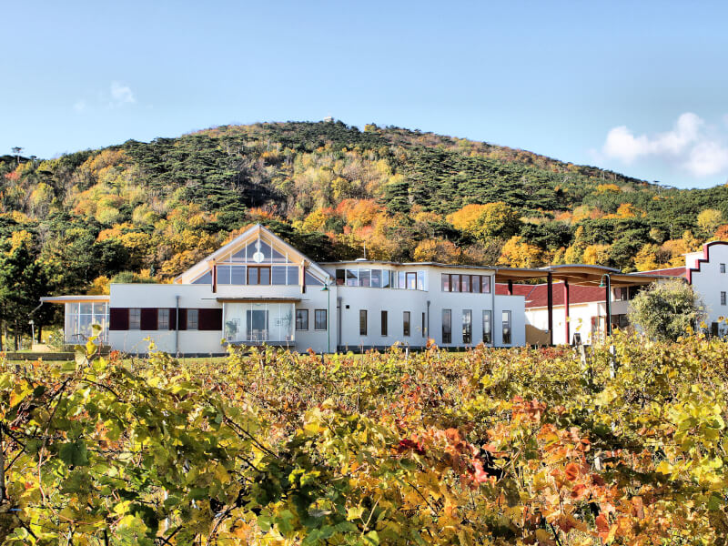 Weingut Schlossberg