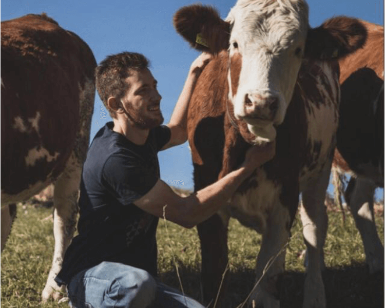 Biohof am Stickelberg GmbH