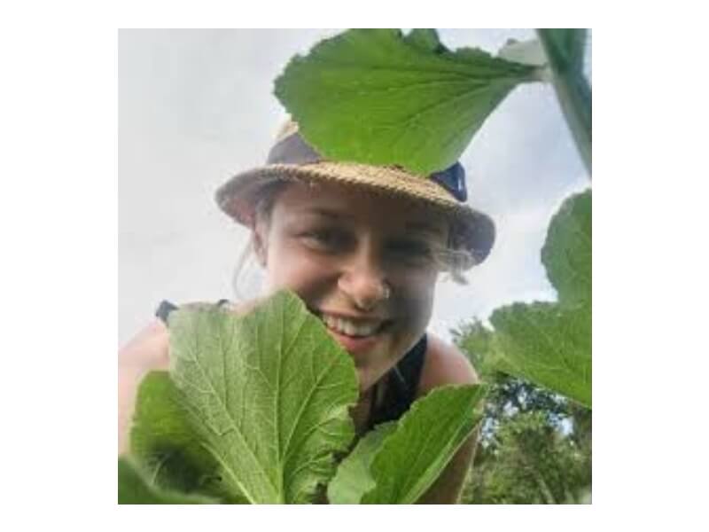 Lisa's Naturprodukte vom Hollerberg